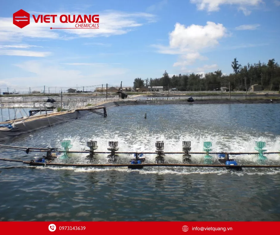 Proxitane 15:23, Chất diệt khuẩn