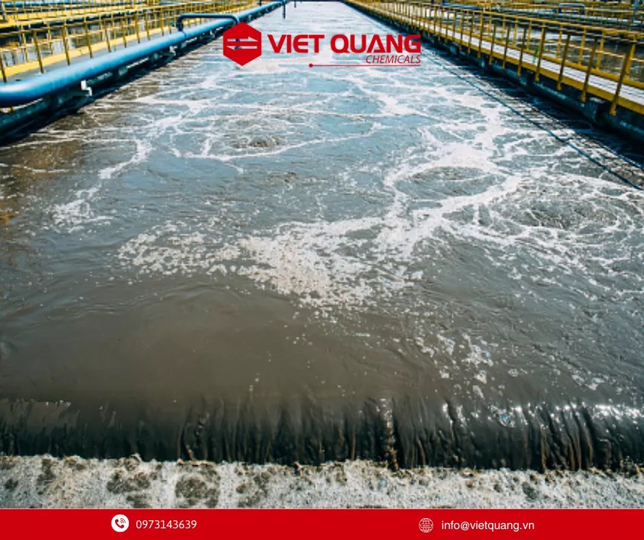 Polymer Anion, A1110, Chất trợ lắng, Xử lý nước thải