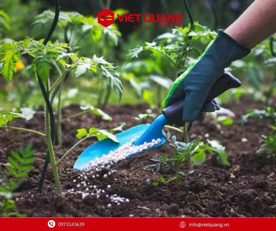 NH4H2PO4, MAP, Phân bón