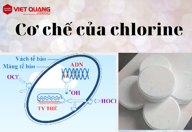 cơ chế chlorin hóa chất việt quang