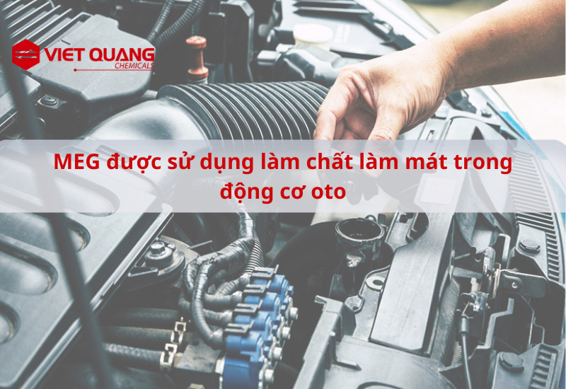 ứng dụng của meg
