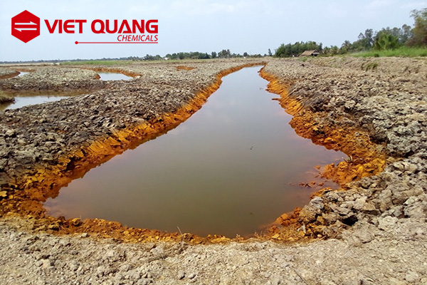 Tại sao cần phải khử trùng nước thải