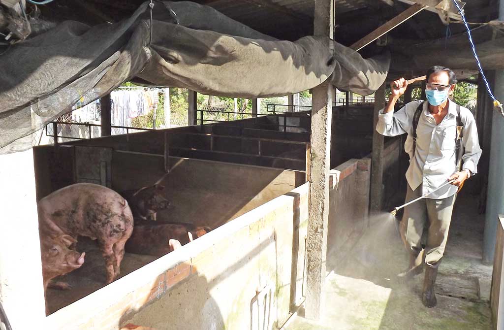 phòng bệnh cho gia súc