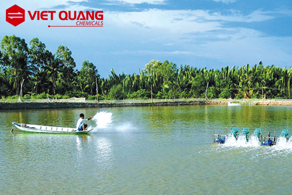 bổ sung khoáng mgcl2