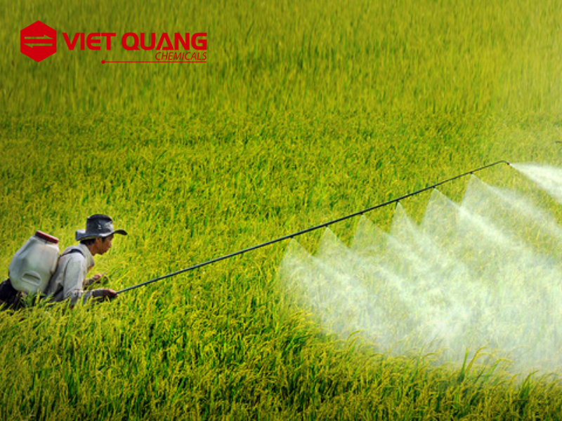 san-xuat-thuoc-tru-sau