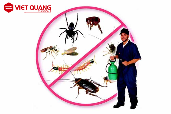 ung-dung-cua-axit-boric