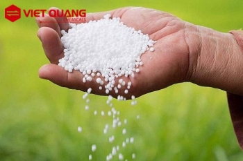 Hiện tượng chống kết khối phân bón và giải pháp ? 